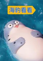 海豹看看