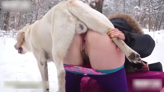 美女冰天雪地里与公狗交配-变态-xj