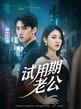 试用期老公