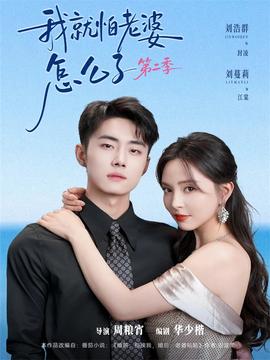 我就怕老婆怎么了第2季