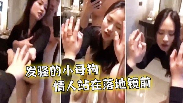 后入发骚小.母狗情人站在落地镜前啪啪声真诱人